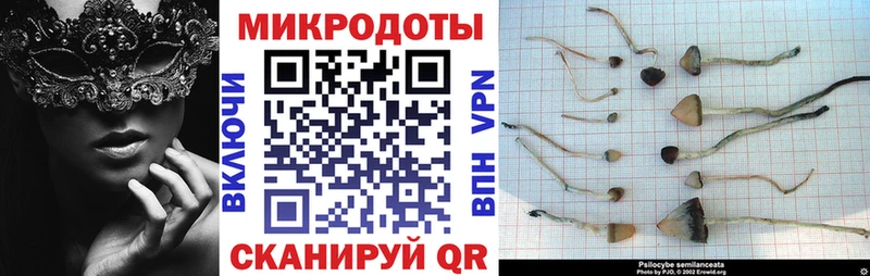 Псилоцибиновые грибы Psilocybine cubensis  Красноуральск 
